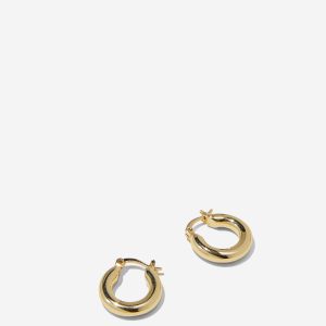 Small Hoop Earring