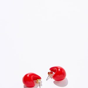 Small Charm Earring